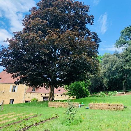 Villa L'écrin des symes Simeyrols Exterior foto